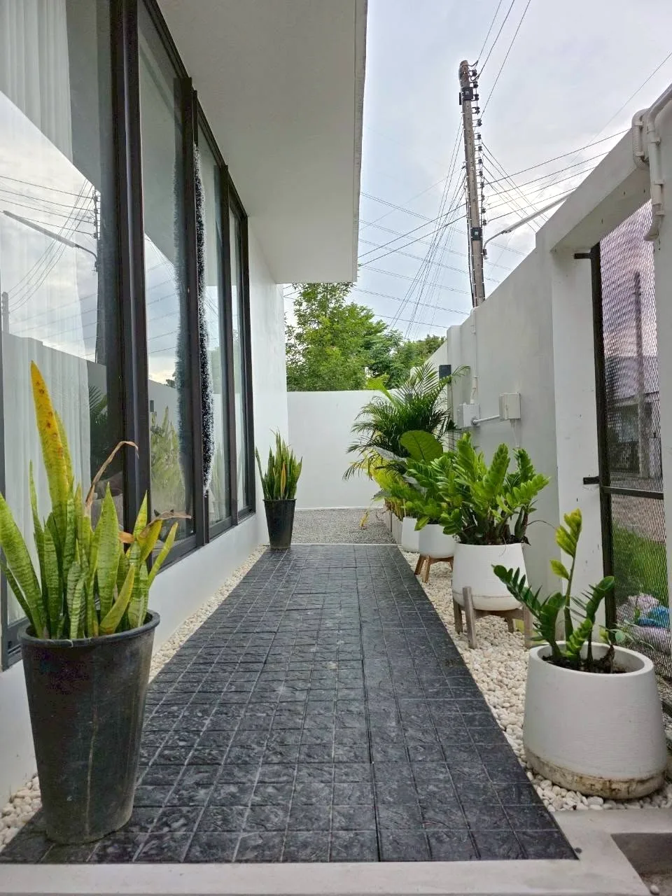 Architect Modern Luxury House For Rent San Kamphaeng | Pet-Friendly Near Mill Hill — photo 3 of 30